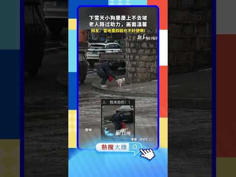 【大陸】太暖了！吉林老人雪中助推爬坡小狗 サムネイル