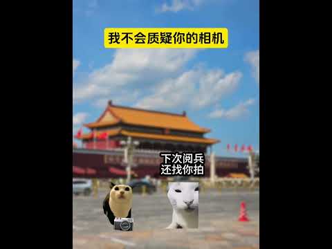 我不会质疑你的相机 有趣 猫meme 猫meme剧场 猫meme小剧场 内容过于真实  故事 貓 猫猫meme小剧场… サムネイル