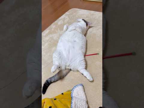 堂々と・・・ サムネイル