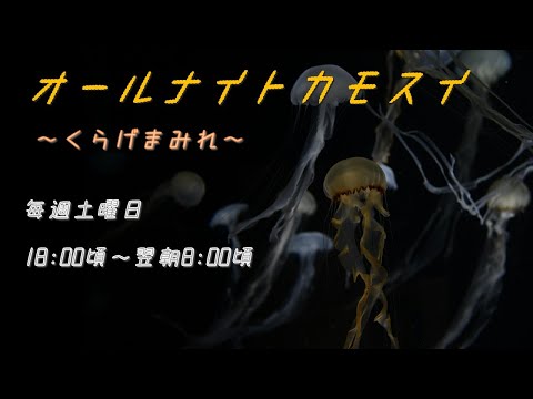 オールナイトカモスイ　～くらげまみれ～ 234　インドネシアシーネットル サムネイル
