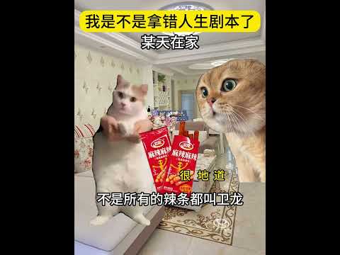 我是不是拿错人生剧本了  有趣 猫meme 猫meme剧场 猫meme小剧场 内容过于真实  故事 貓 猫猫meme小… サムネイル