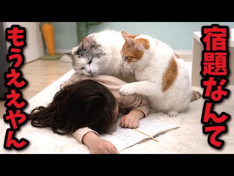 【もう限界…】冬休みの宿題が終わらない８歳の娘に悪魔のささやきをする猫たち サムネイル