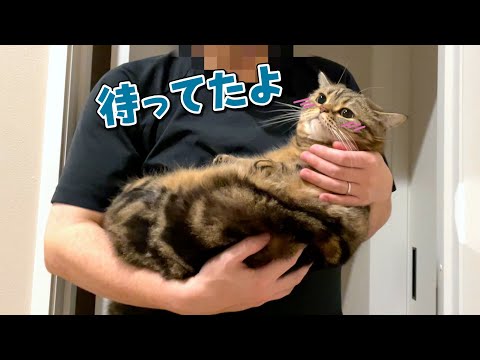 パパが来るまで寝ないで待ってる寂しがりや猫が可愛すぎる！ サムネイル