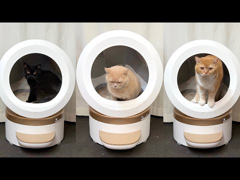 宇宙船ポッドが我が家に襲来 サムネイル
