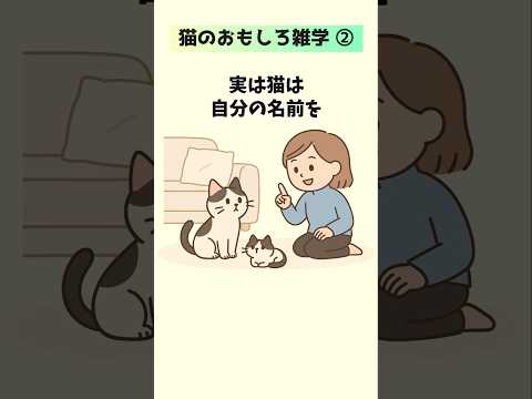 【驚愕】1割しか知らない！猫の雑学10選② 猫 雑学 豆知識 トリビア 音声「VOICEVOX:ずんだもん」さん サムネイル