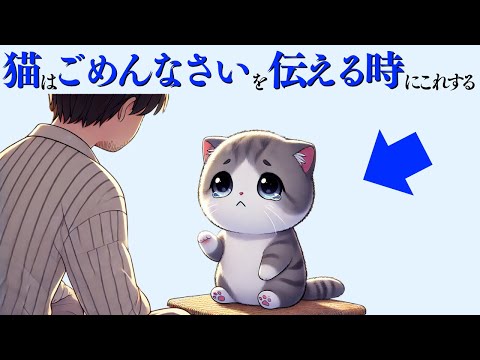 【猫がごめんなさいを伝える行動】猫の雑学 サムネイル