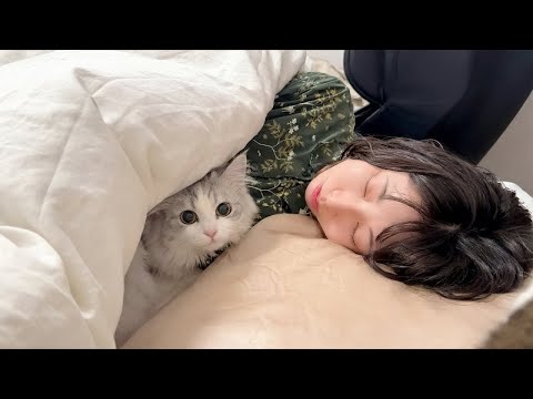 疲れて眠るママの布団にこっそり忍び込んで添い寝する甘えん坊の子猫が可愛い！ サムネイル