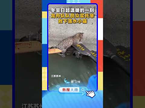 【大陸】冬日暖陽！蘇州龍舟隊員眾漿托起落水小貓 サムネイル
