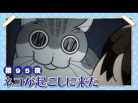 アニメ『夜は猫といっしょ』第95夜「ネコが起こしに来た」 サムネイル