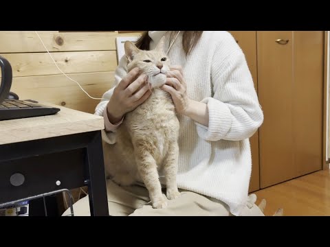 人目を気にして思い存分甘えられない猫 サムネイル