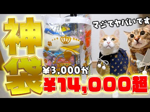 【神袋】開店前に完売する”猫用の福袋” の中身が最高にヤバすぎました…【¥3000→¥14000超】 サムネイル
