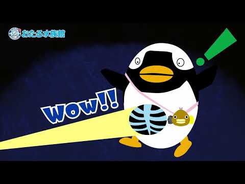 【北海道おでかけ】おたる水族館 春の特別展がスタート！ サムネイル