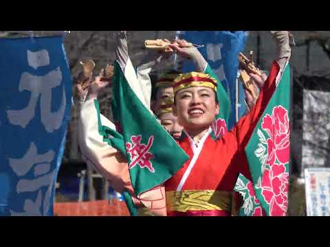 舞華＠2026　はんのう元気市 サムネイル