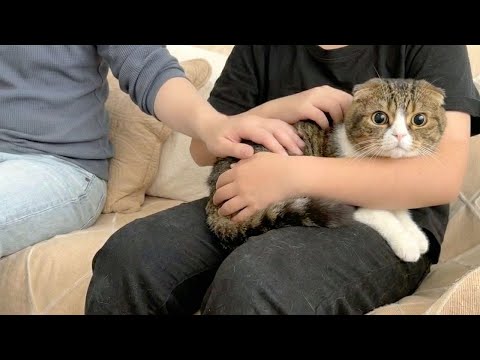 猫に触れたことがない親子が一瞬でメロメロになった瞬間がこちらw サムネイル