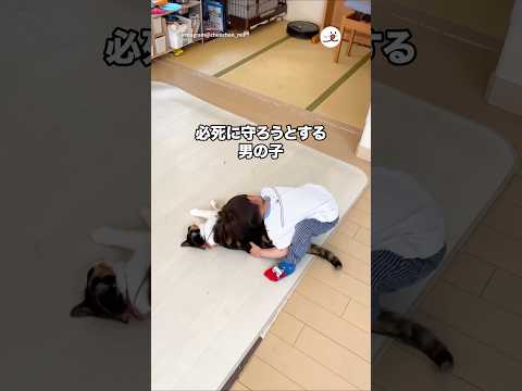 お掃除ロボットから猫を守りたい男の子|PECO