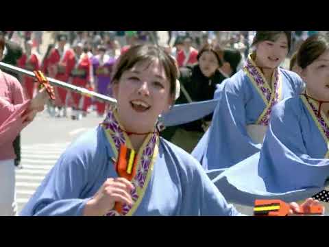 いろは組②＠2026　陣屋通り商店会一周年祭 サムネイル