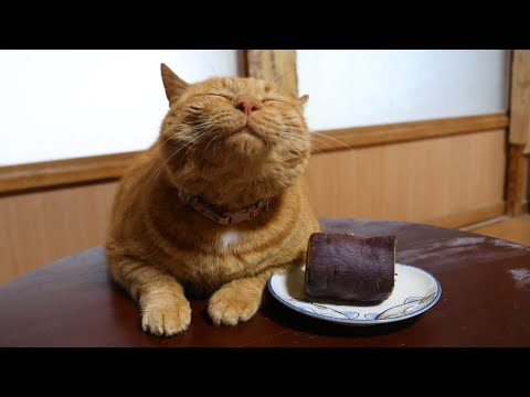 ちゃぶ台の上の焼きいも　260122 サムネイル