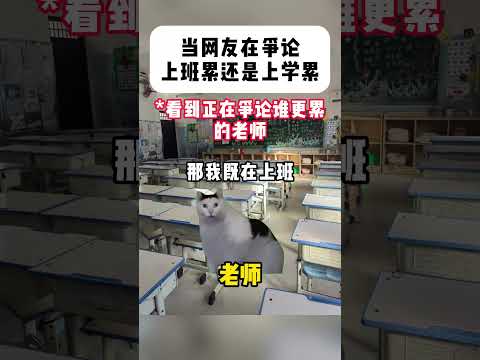当网上争论上学累还是上班累有趣 猫meme 猫meme剧场 猫meme小剧场 内容过于真实  故事 貓 猫猫meme小… サムネイル
