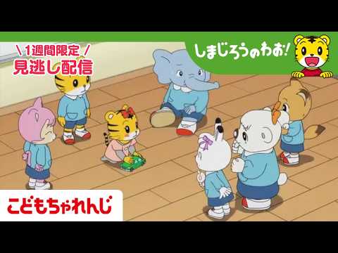【見逃し配信】テレビ番組「しまじろうのわお！」 5月16日放送 ｜はなちゃん ちゃれんじえんへ いく｜724【しまじろ… サムネイル