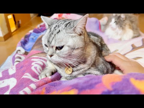 あいちゃんのまわりのテンションが高かった夜。 サムネイル