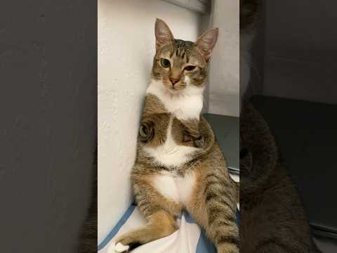 wink tutu サムネイル