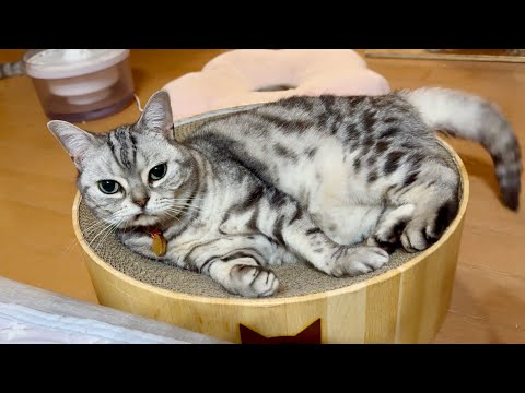 ひとりがいい日もたまにはあるのよ！ サムネイル