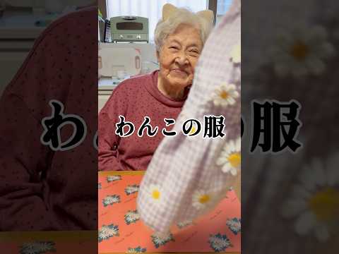 元高島屋店員の幾子さんがお包みする犬服🐕