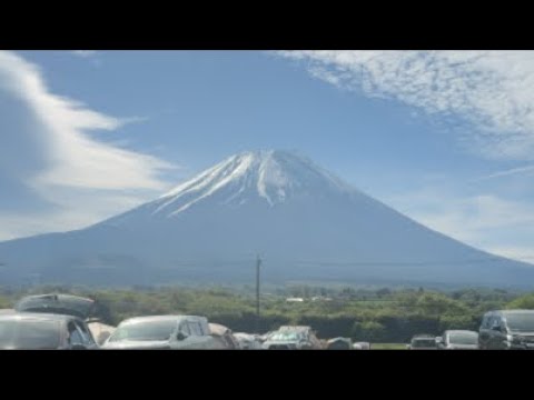 ドS猫の球太 がライブ配信中！ サムネイル
