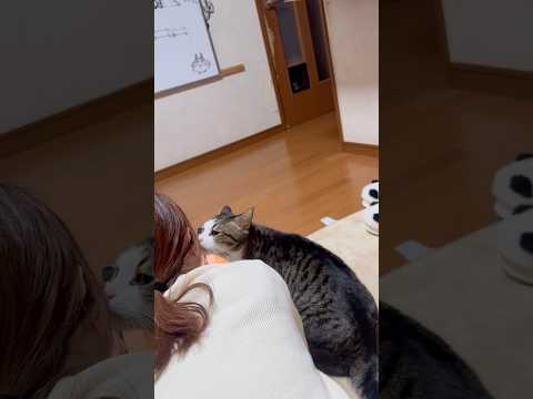 何撮ってんの？ サムネイル