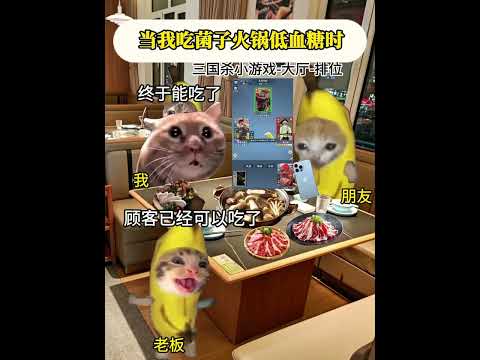 当我吃菌子火锅低血糖 有趣 猫meme 猫meme剧场 猫meme小剧场 内容过于真实  故事 貓 猫猫meme小剧场…