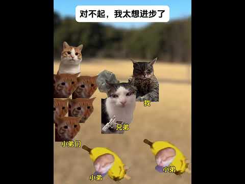 对不起，我太想进步了！ 小弟：开团秒跟 有趣 猫meme 猫meme剧场 猫meme小剧场 内容过于真实  故事 貓… サムネイル