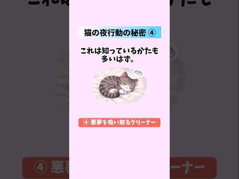 【猫の行動😻】あなたが寝たあと猫がひっそり行っている5つの秘密④ 猫 雑学 豆知識 トリビア 音声「VOICEVOX:… サムネイル