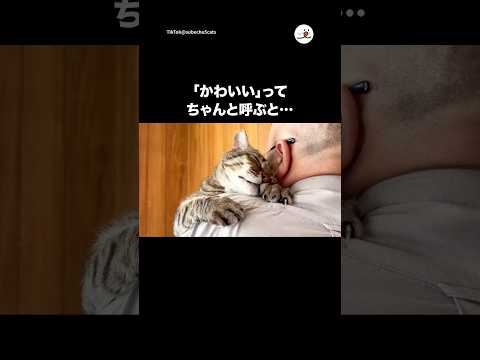 名前は「かわいい」と思ってる？🤭｜PECO サムネイル