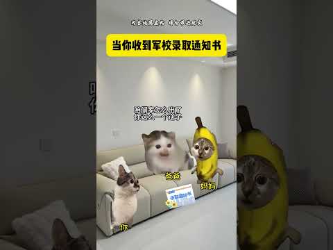 当你收到军校录取通知书 有趣 猫meme 猫meme剧场 猫meme小剧场 内容过于真实  故事 貓 猫猫meme小剧… サムネイル