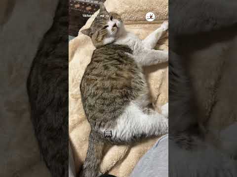 うちに来て食べて寝る…それだけ｜PECO