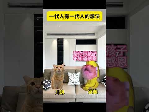 一代人有一代人的看法  有趣 猫meme 猫meme剧场 猫meme小剧场 内容过于真实  故事 貓 猫猫meme小剧… サムネイル