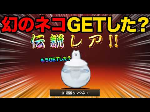 加湿器タンクネコもうGETした？ヤバすぎるコラボが開催されてるぞ！99%が知らない正体不明の謎のキャラクター知ってる？… サムネイル