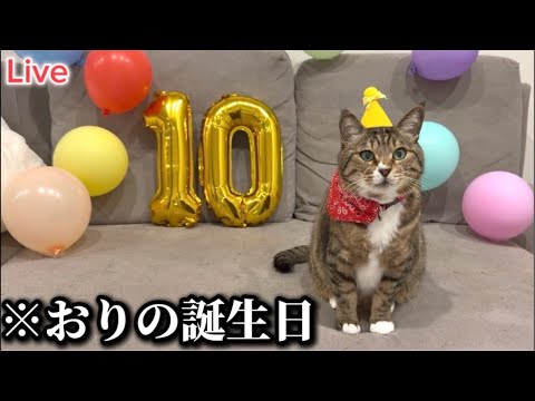 ほたて君10歳の誕生日生配信🎂