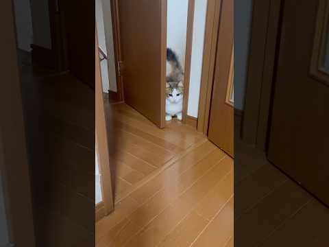 なぜダッシュでトイレに？ サムネイル