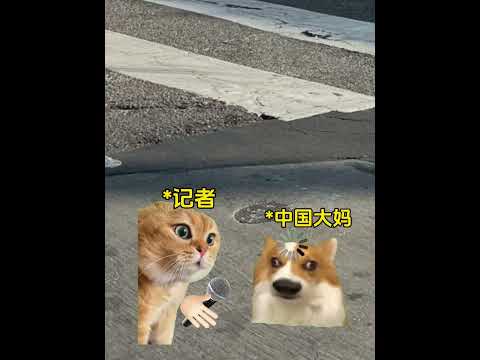 一位在废墟中缝补世界的人…… 有趣 猫meme 猫meme剧场 猫meme小剧场 内容过于真实  故事 貓 猫猫mem… サムネイル