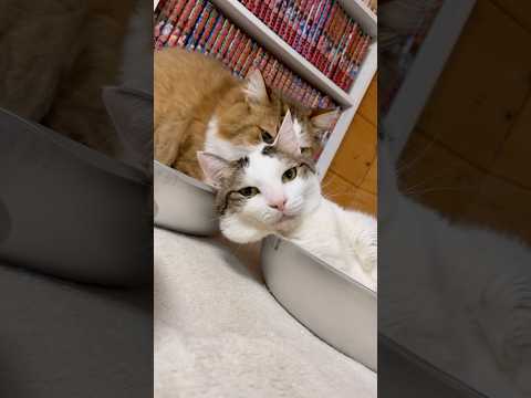 ごめんなぁ〜