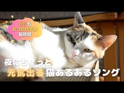 【12分】今日もゆったり猫時間｜ちょっと元気出る猫あるあるソング サムネイル