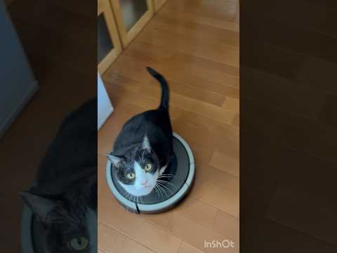 これって調子悪いでしょ サムネイル