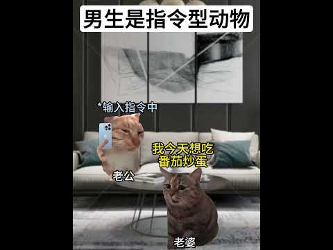 男生是指令型动物  有趣 猫meme 猫meme剧场 猫meme小剧场 内容过于真实  故事 貓 猫猫meme小剧场…