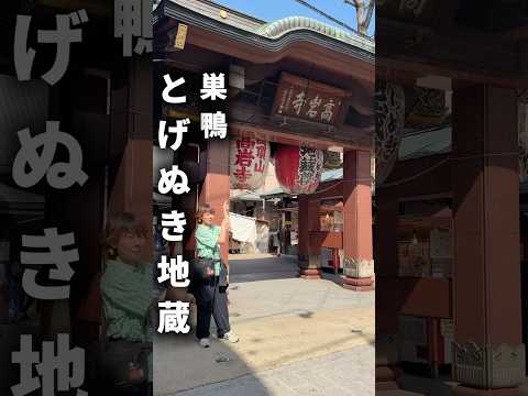 最後は球太の大福落とし😹塩大福買って来たよ！cats 旅行 球太 サムネイル