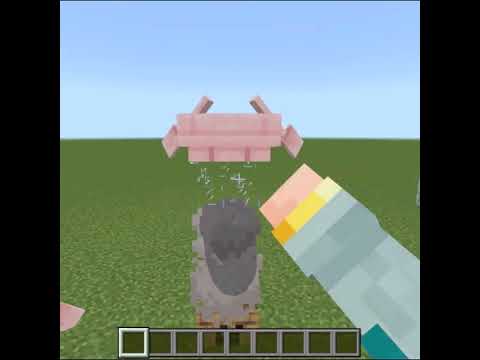 マインクラフトで不思議のこと【ボート編】 サムネイル