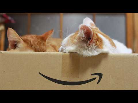 うずまきLIVE配信？　放置？　朝まで？　2026年5月3日