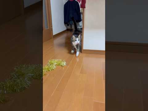 ニャウニャウニャウ サムネイル