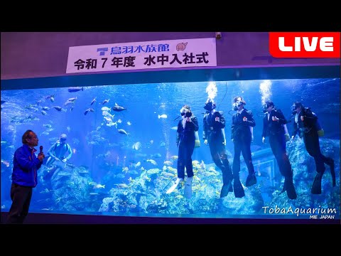 《鳥羽水族館》ライブ配信❗️令和8年度 水中入社式 サムネイル