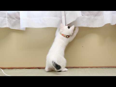 うずまきLIVE配信？　放置？　朝まで？　2026年3月1日 サムネイル